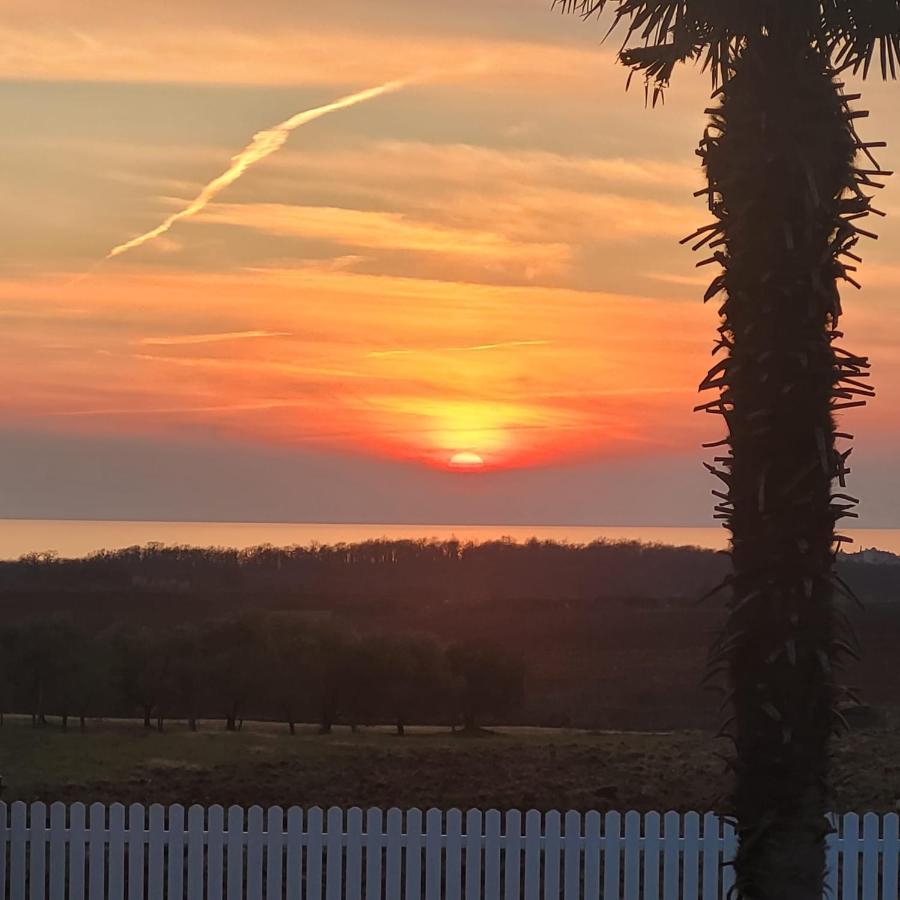 Villa Haus Sunshine Novigrad Istria Esterno foto