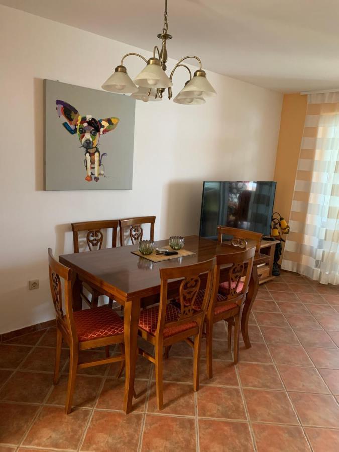 Villa Haus Sunshine Novigrad Istria Esterno foto