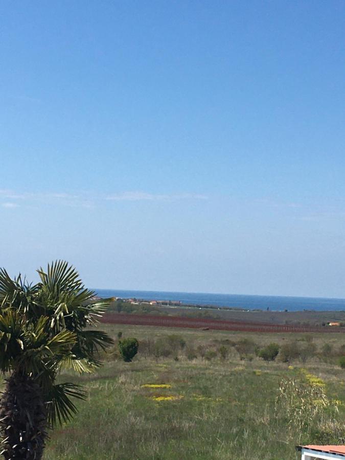 Villa Haus Sunshine Novigrad Istria Esterno foto