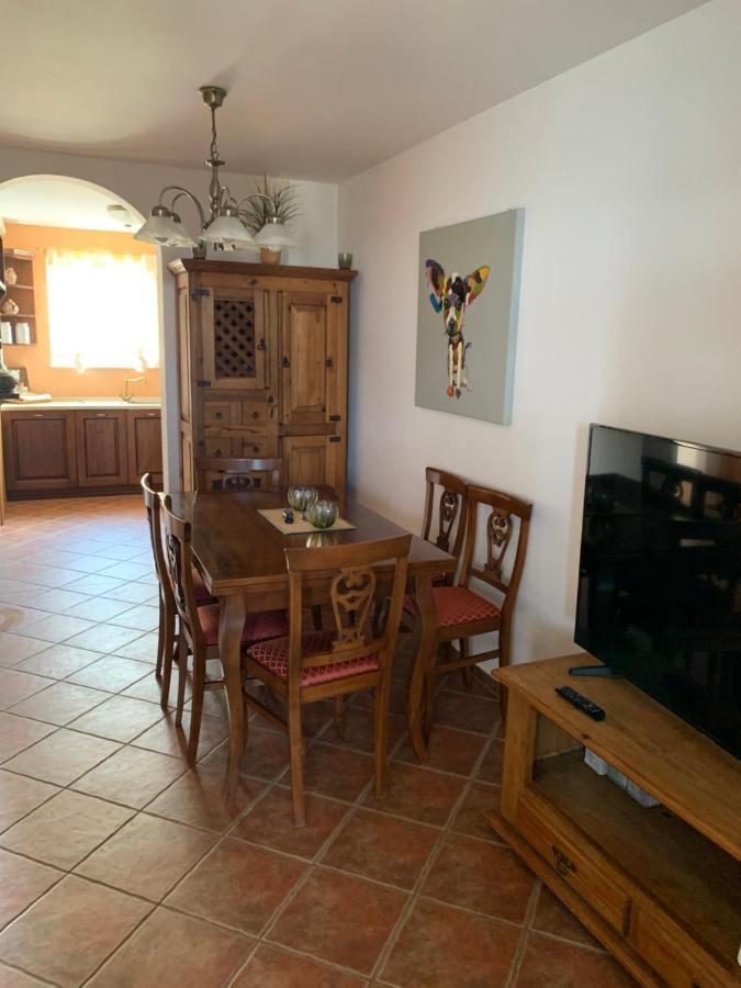 Villa Haus Sunshine Novigrad Istria Esterno foto
